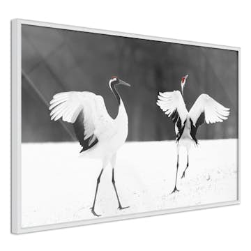 Poster Artgeist Affisch Dancing Cranes