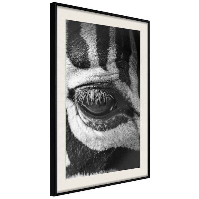 Poster Artgeist Affisch Zebra Eye