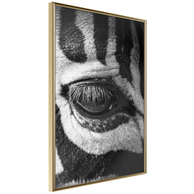 Poster Artgeist Affisch Zebra Eye