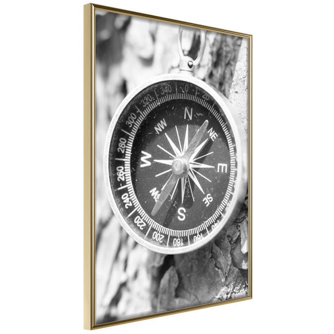 Poster Artgeist Affisch Black and White Compass