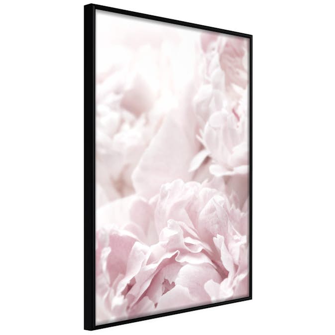 Poster Artgeist Affisch Fluffy Peonies