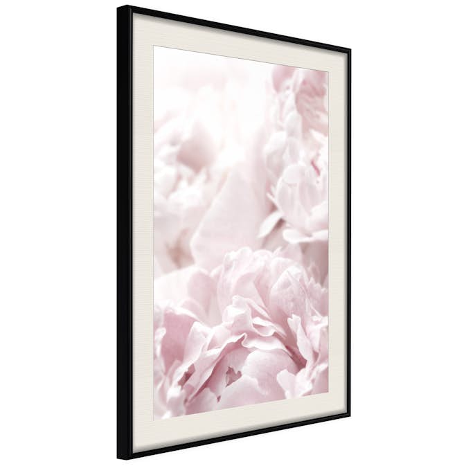 Poster Artgeist Affisch Fluffy Peonies