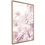 Poster Artgeist Affisch Fluffy Peonies