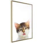 Poster Artgeist Affisch Vexed Cat