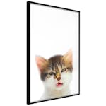 Poster Artgeist Affisch Vexed Cat