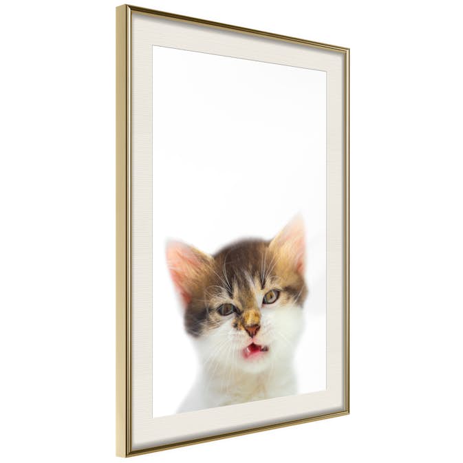 Poster Artgeist Affisch Vexed Cat