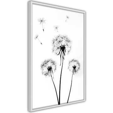 Poster Artgeist Affisch Flying Dandelions