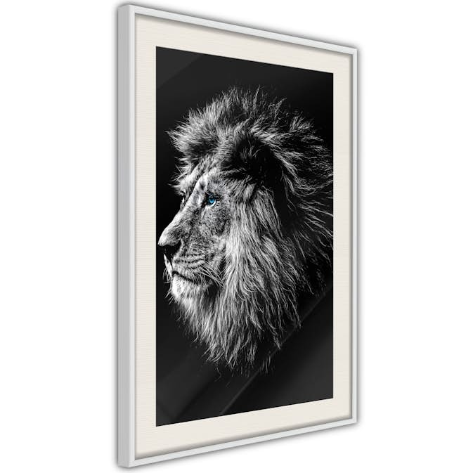 Poster Arkiio Affisch Blue-eyed Lion