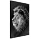 Poster Artgeist Affisch Blue-eyed Lion