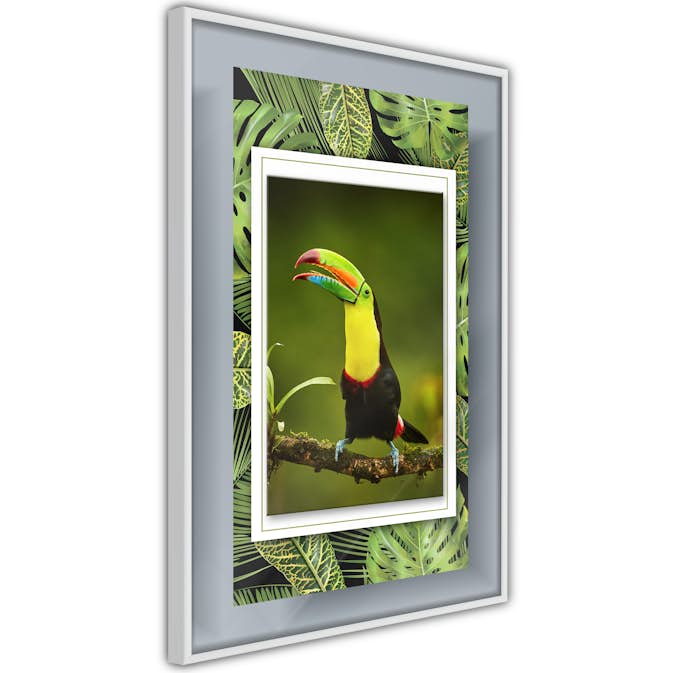 Poster Artgeist Affisch Toucan