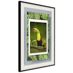 Poster Artgeist Affisch Toucan