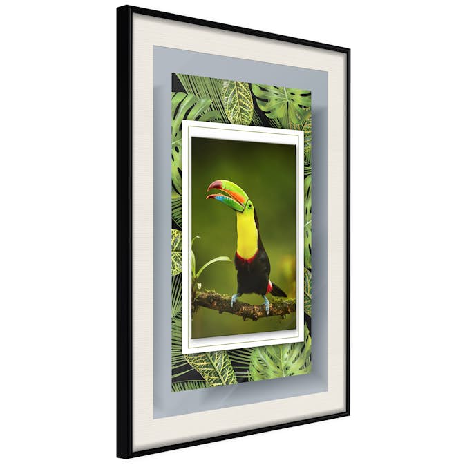 Poster Artgeist Affisch Toucan