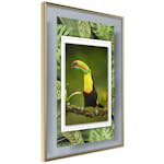 Poster Artgeist Affisch Toucan