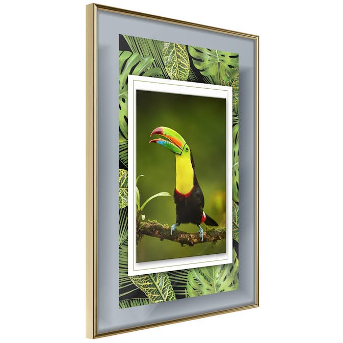 Poster Artgeist Affisch Toucan