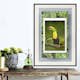 Poster Artgeist Affisch Toucan