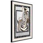 Poster Artgeist Affisch Zebra