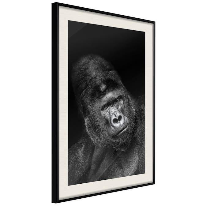 Poster Artgeist Affisch Gorilla