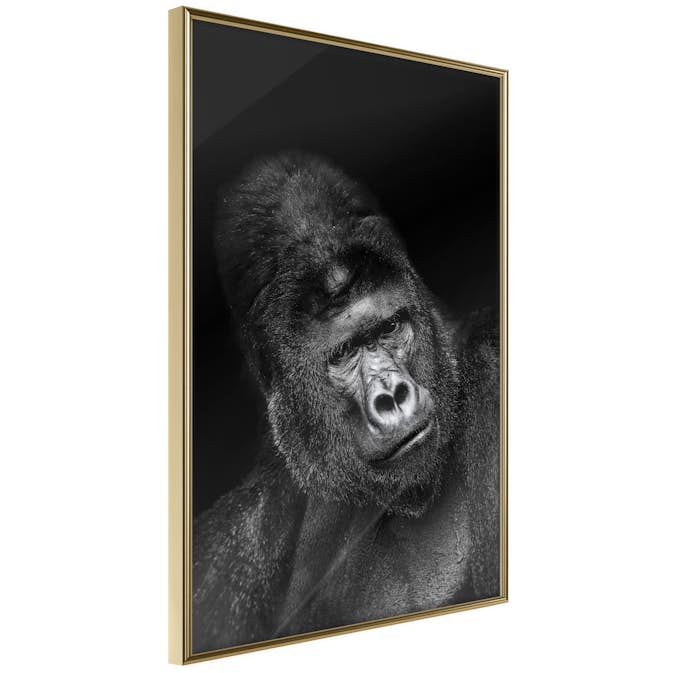 Poster Artgeist Affisch Gorilla