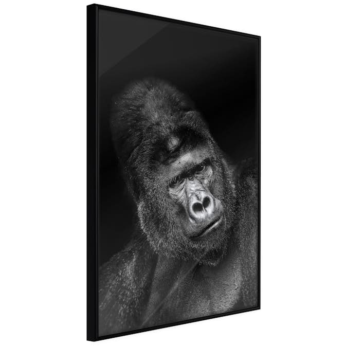 Poster Artgeist Affisch Gorilla