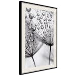 Poster Artgeist Affisch Morning Dew