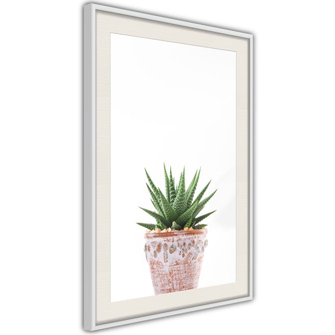 Poster Arkiio Affisch Succulents In Pot