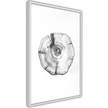 Poster Artgeist Affisch Wood Slice