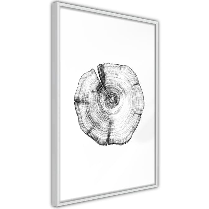 Poster Artgeist Affisch Wood Slice