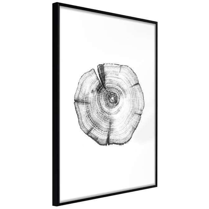 Poster Artgeist Affisch Wood Slice
