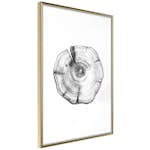 Poster Artgeist Affisch Wood Slice