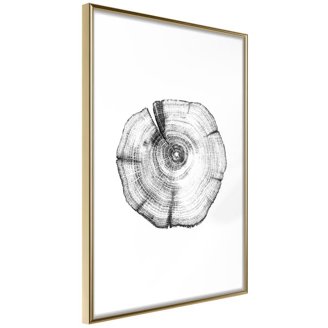 Poster Artgeist Affisch Wood Slice