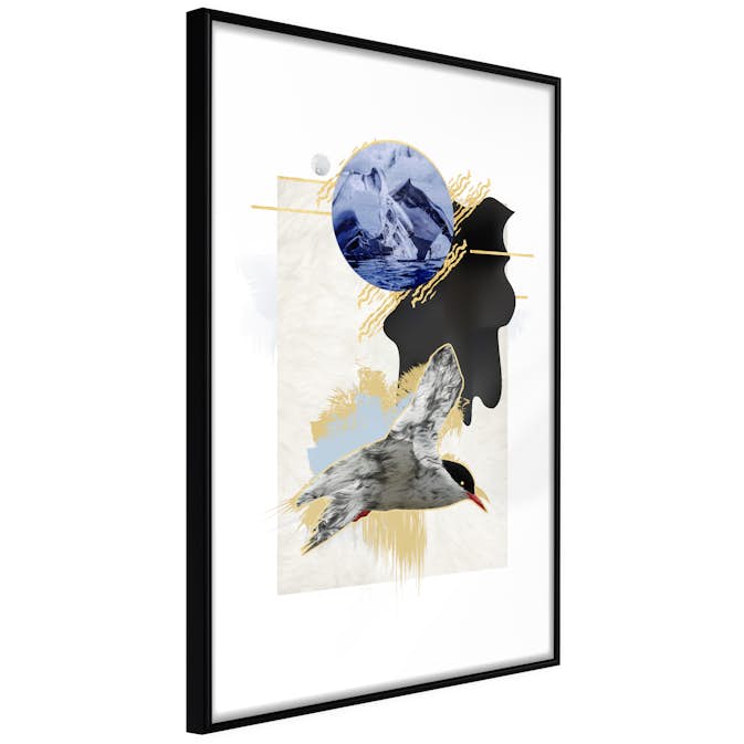Poster Artgeist Affisch Antarctic Tern