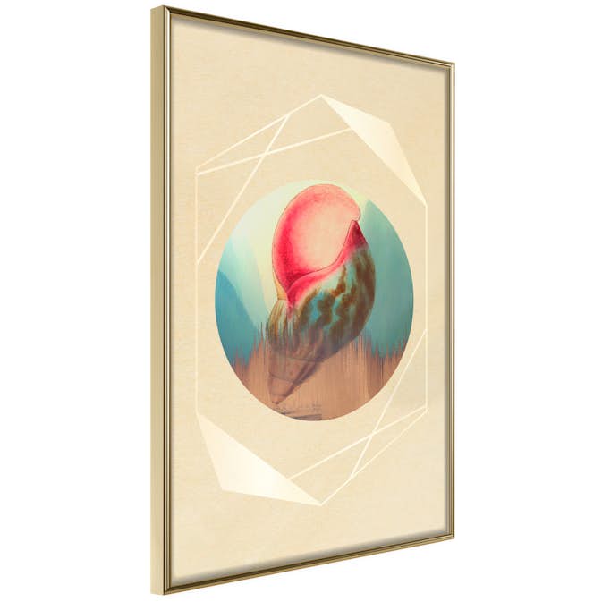 Poster Artgeist Affisch Seashell