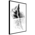 Poster Artgeist Affisch Black And White Palm