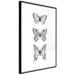 Poster Artgeist Affisch Three Butterflies