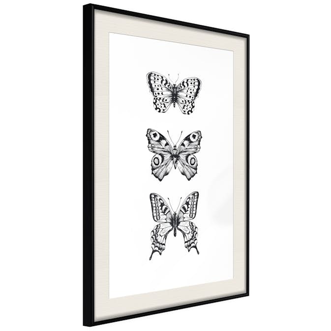 Poster Artgeist Affisch Three Butterflies