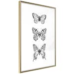 Poster Artgeist Affisch Three Butterflies