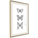 Poster Artgeist Affisch Three Butterflies