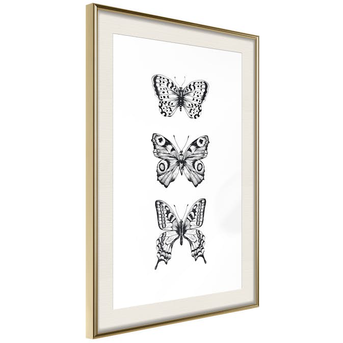 Poster Artgeist Affisch Three Butterflies