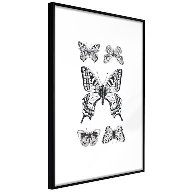 Poster Artgeist Affisch Five Butterflies