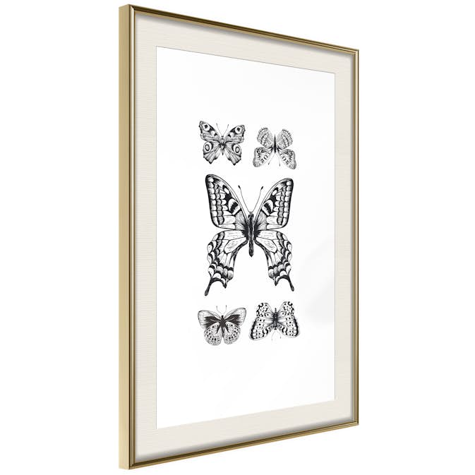 Poster Artgeist Affisch Five Butterflies