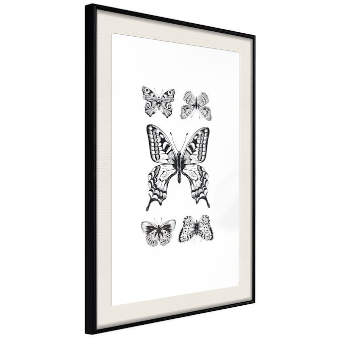 Poster Artgeist Affisch Five Butterflies