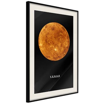 Poster Artgeist Affisch Venus