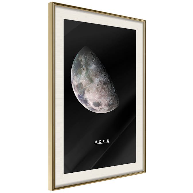 Poster Artgeist Affisch Moon