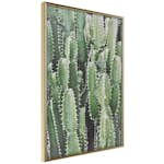 Poster Artgeist Affisch Cactus Garden