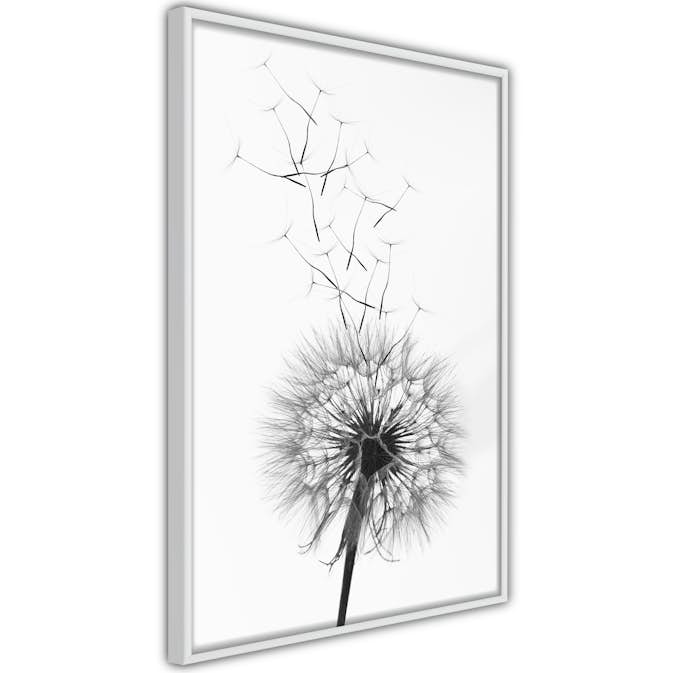 Poster Artgeist Affisch Dandelion