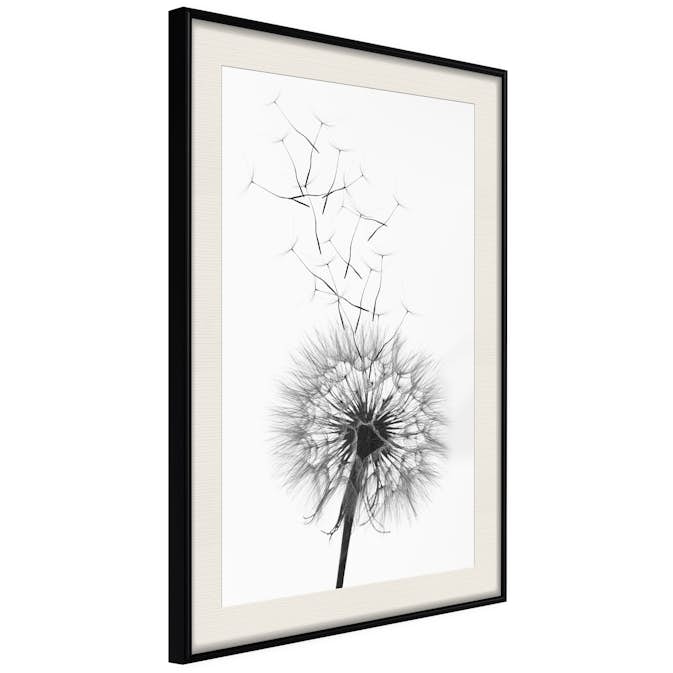 Poster Artgeist Affisch Dandelion
