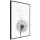 Poster Artgeist Affisch Dandelion