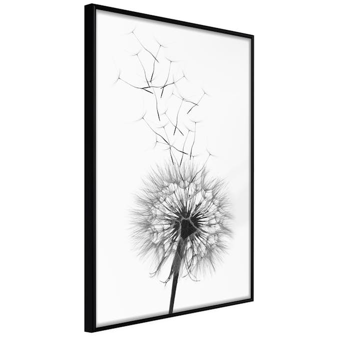 Poster Artgeist Affisch Dandelion