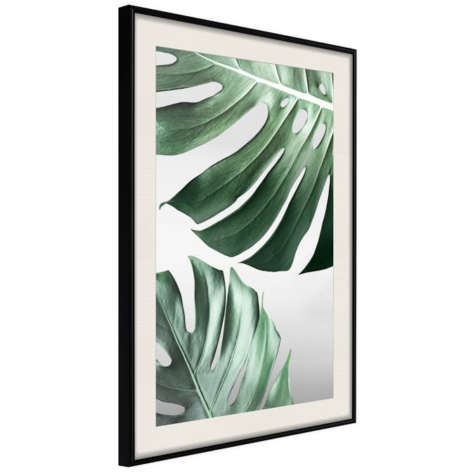 Poster Artgeist Affisch Monstera Leaves