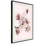 Poster Artgeist Affisch Delicate Magnolias